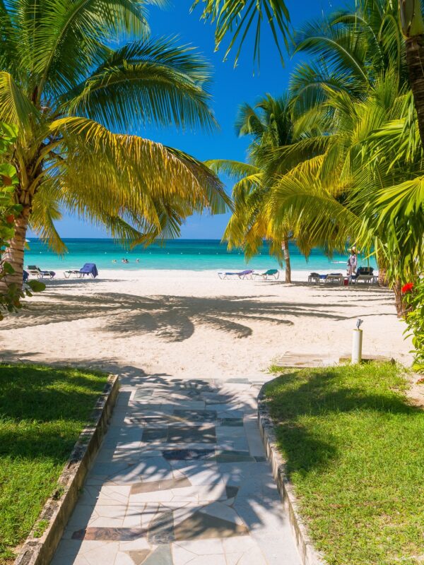 Private Transfer from MBJ Airport to Charela Inn