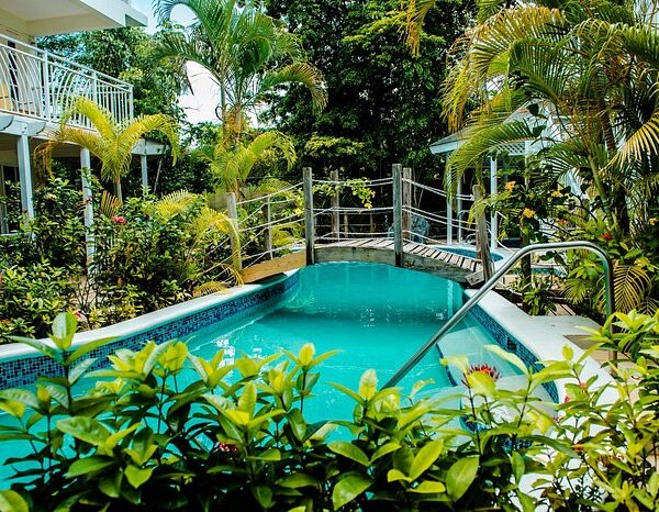 Private Transfer from MBJ Airport to Rondel Village Negril