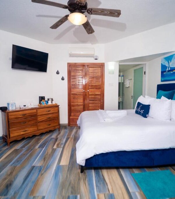 Private Transfer from MBJ Airport to Xye Resort Negril