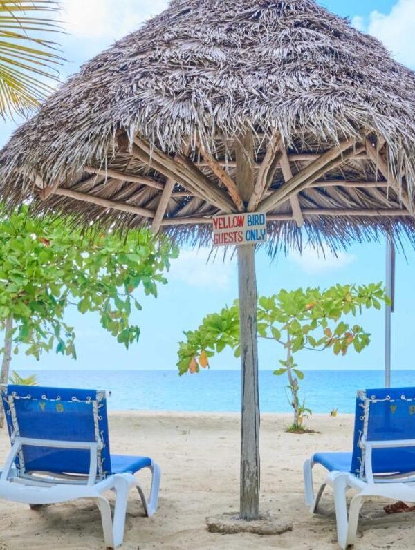 Montego Bay Airport Transfer to Yellow Bird Hotel