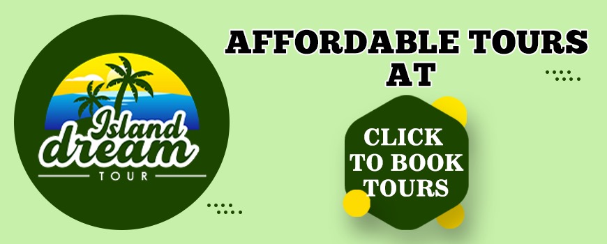 Best Airport Shuttle in Jamaica Montego Bay 2026